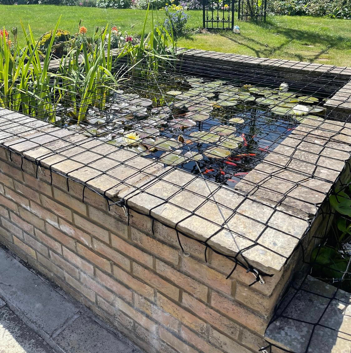 Pond Safety Nets, Covers and Child Safety Netting Bull Nets