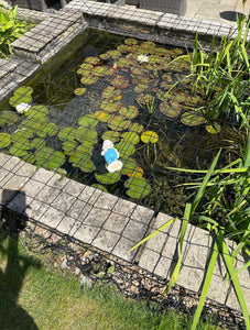 Pond Safety Net KIT WITH HARD SURFACE FIXINGS