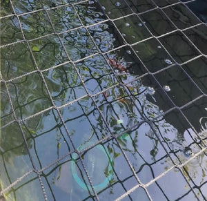 Pond Safety Cover Netting